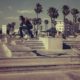 skateborder_miles